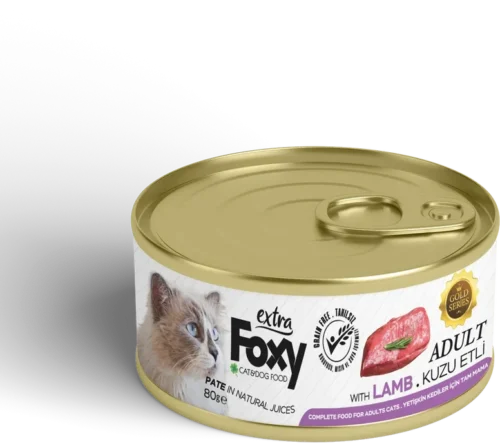Foxy Extra Konserve Yetişkin Kediler İçin Tam Mama 80gr
