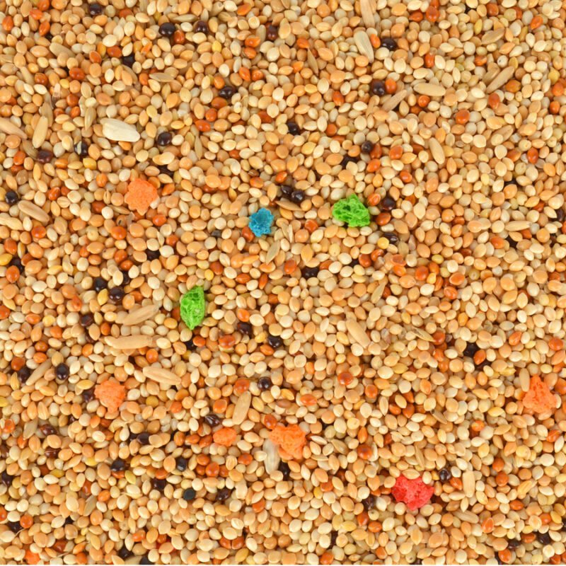 Quik Q100 Meyveli Lüx Muhabbet Yemi 20 kg paket detay görseli