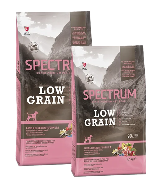 Spectrum Düşük Tahıllı Kuzulu ve Yaban Mersinli Orta ve Büyük Irk Yavru Köpek Maması 2,5 kg Köpek Spectrum Düşük Tahıllı Kuzulu ve Yaban Mersinli Orta ve Büyük Irk Yavru Köpek Maması 2,5 kg - Görsel 1