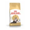 Royal Canin Persian Yetişkin Kedi Maması 2 kg