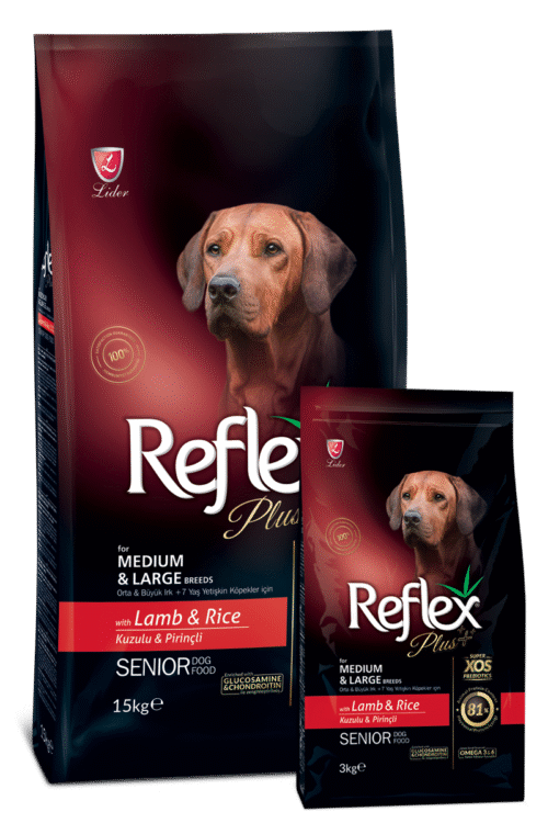 Reflex Plus Orta Ve Büyük Irk +7 Yaş Yetişkin Köpekler için Kuzulu ve Pirinçli Köpek Maması 3 kg