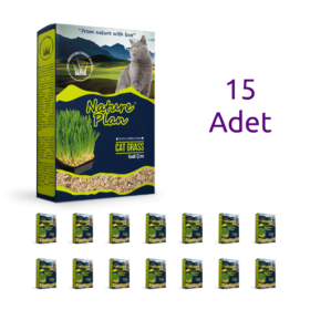 Nature Plan Kedi Çimi 500 mL (15'li)