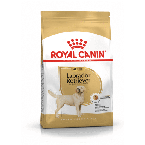 Royal Canin Labrador Retriever Yetişkin Köpek Maması 12 kg