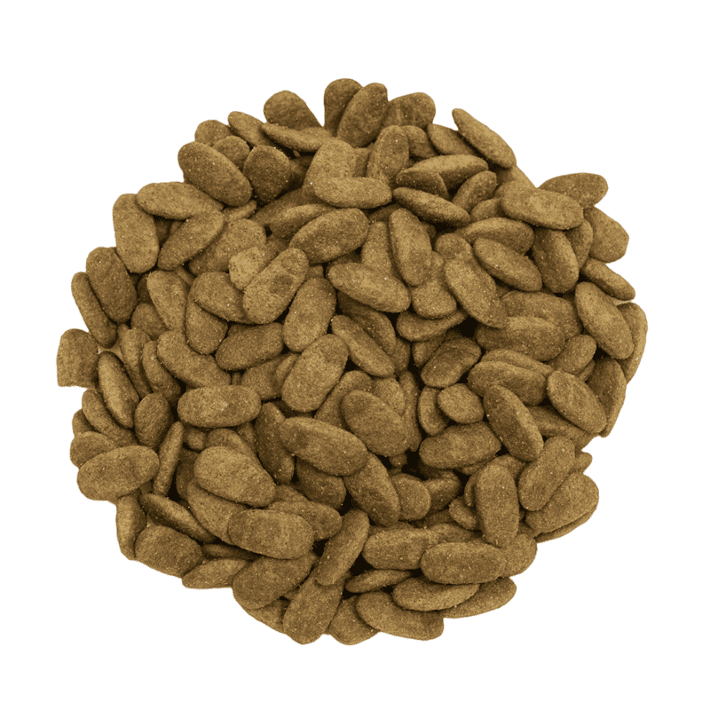 Prochoice Proderma Kuzu Etli ve Pirinçli Yetişkin Köpek Maması 18 kg