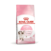 Royal Canin Kitten Yavru Kedi Maması 10 kg
