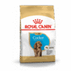 Royal Canin Cocker Yavru Köpek Maması 3 kg