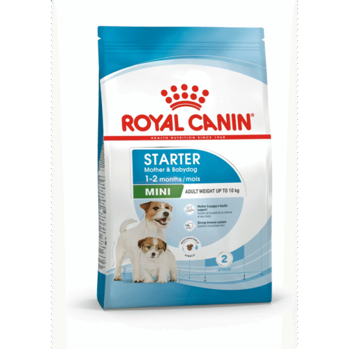 Royal Canin Mini Starter Anne ve Yavru Köpek Maması 4 kg