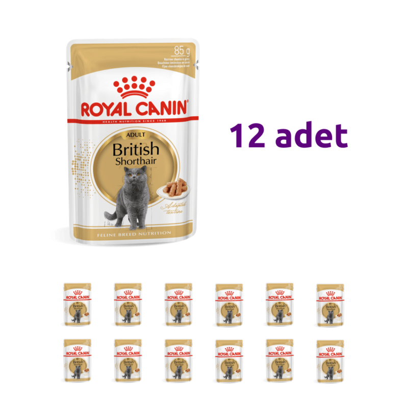 British Shorthair Gravy Yaş Mama 85 g (12’li)