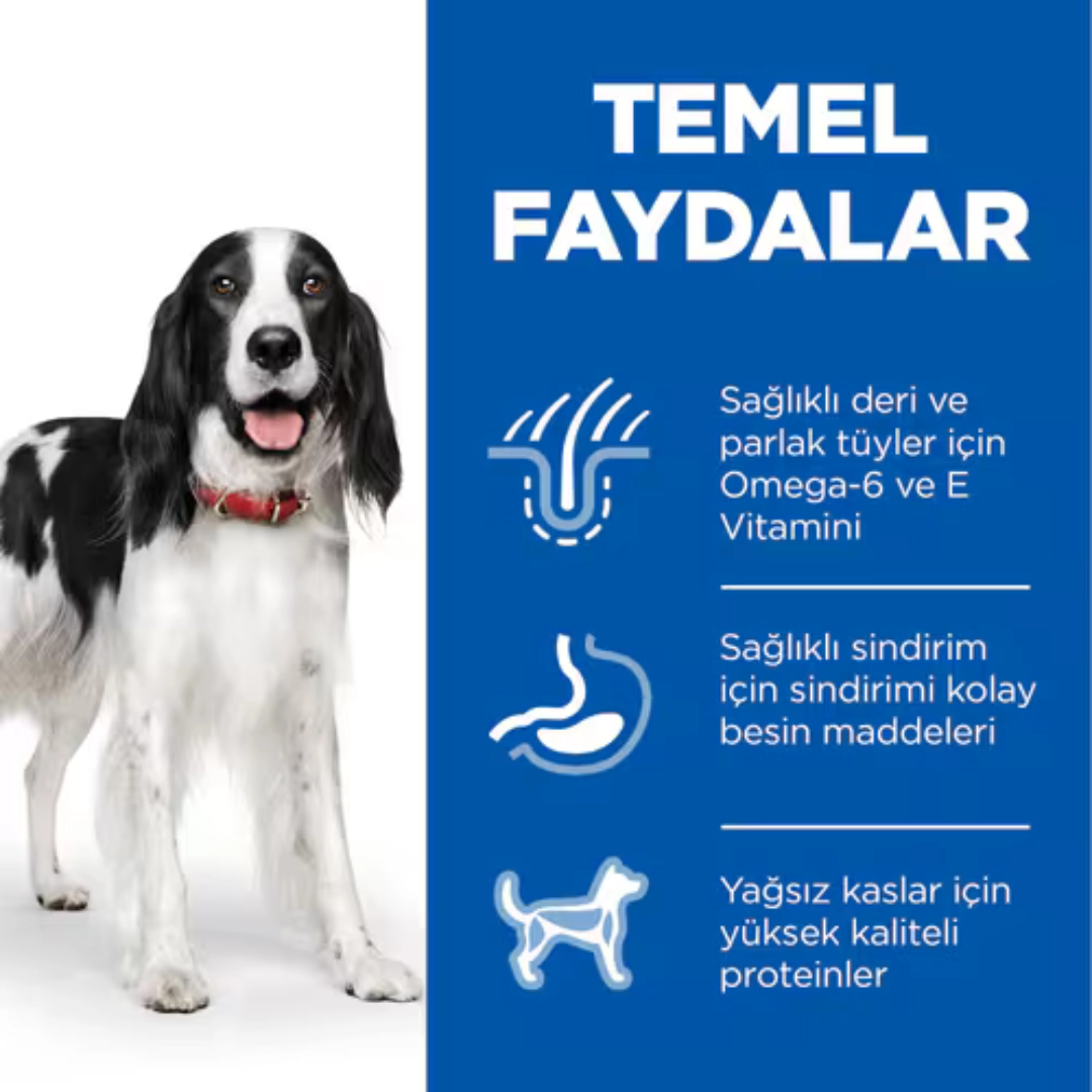 Hill’s Ton Balıklı Orta Irk Yetişkin Köpek Maması 2,5 kg Köpek Hill’s Ton Balıklı Orta Irk Yetişkin Köpek Maması 2,5 kg - Görsel 3