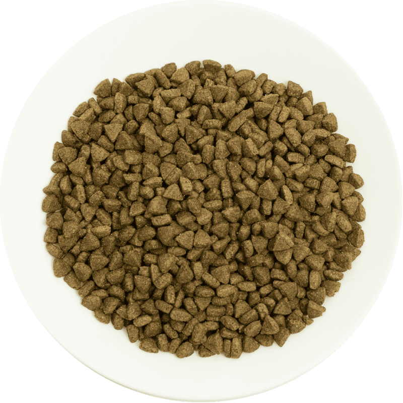 Prochoice Somonlu ve Pirinçli Hipoalerjenik Yetişkin Kedi Maması 2 Kg