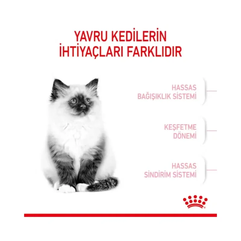 Royal Canin Kitten Yavru Kedi Maması 4 kg