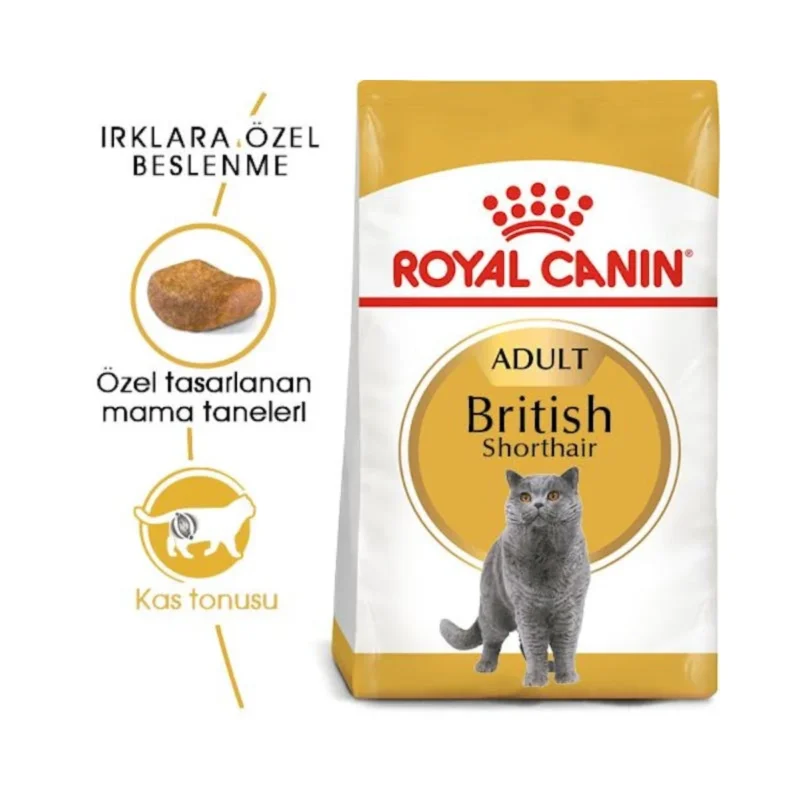 Royal Canin British Shorthair 10 kg yetişkin kedi maması yakın plan ambalaj görünümü