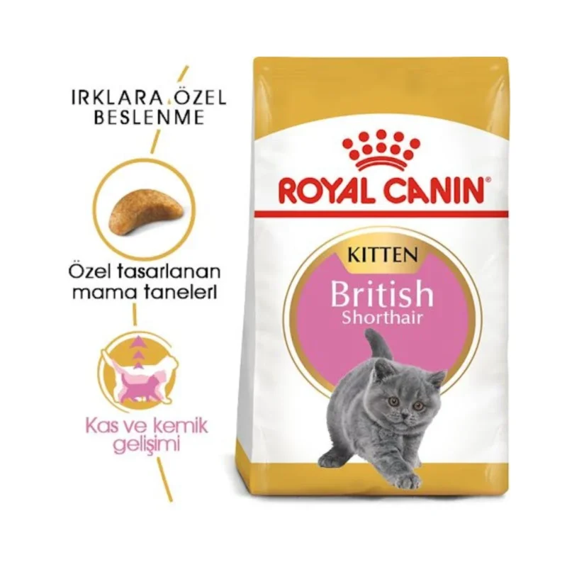 Royal Canin British Shorthair Kitten 2 kg yavru kedi maması yakın çekim ambalaj görseli