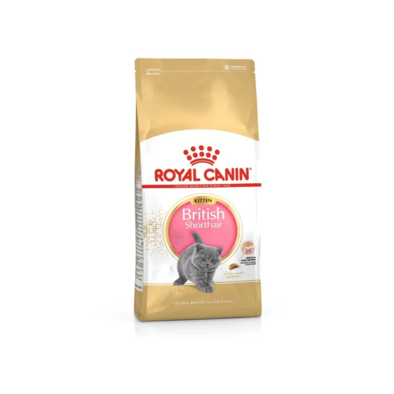 Royal Canin British Shorthair Kitten 2 kg yavru kedi maması, British Shorthair ırkına özel beslenme desteği