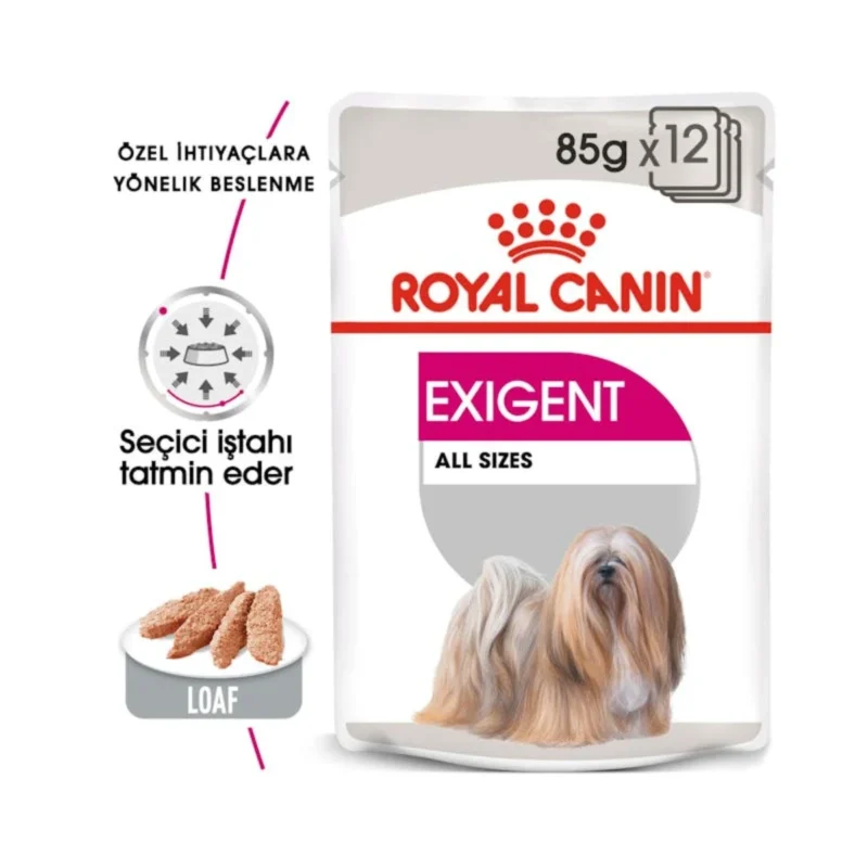 Royal Canin Exigent köpek yaş maması 85 gr porsiyon, seçici köpekler için lezzetli ve besleyici ıslak mama