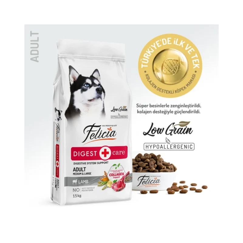 Felicia Digest Care kuzu etli yetişkin köpek maması 15 kg, orta ve büyük ırklar için sindirim dostu formül