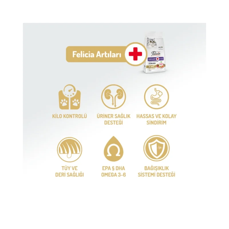 Felicia somonlu kısırlaştırılmış kedi maması az tahıllı hipoalerjenik üriner sistem destekleyici 2 kg ambalaj görseli