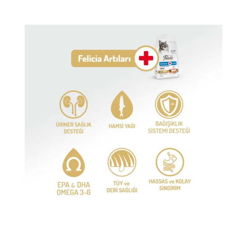 Felicia Derma somonlu hipoalerjenik kedi maması – hassas derili kediler için az tahıllı formül, 2 kg