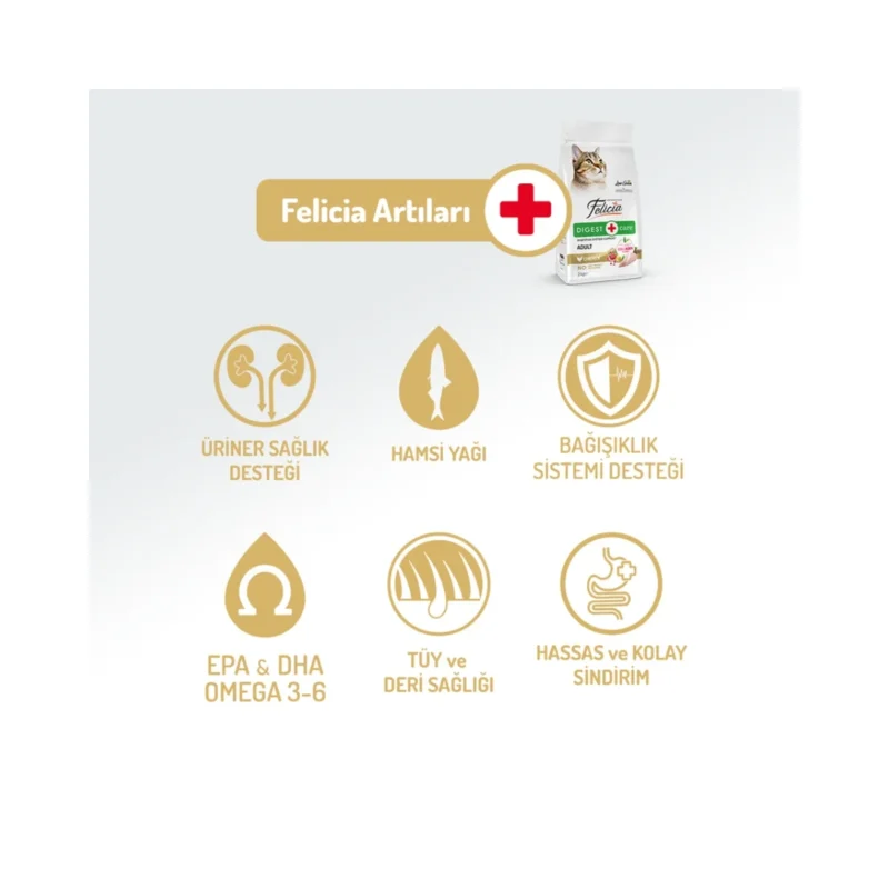 Felicia az tahıllı hipoalerjenik tavuk etli yetişkin kedi maması sindirim sistemi desteği 2 kg