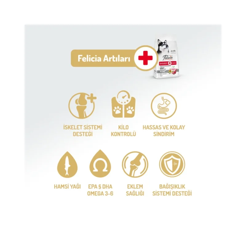 Felicia Digest Care kuzu etli köpek maması ile mutlu bir köpeğin yanında mama kasesi