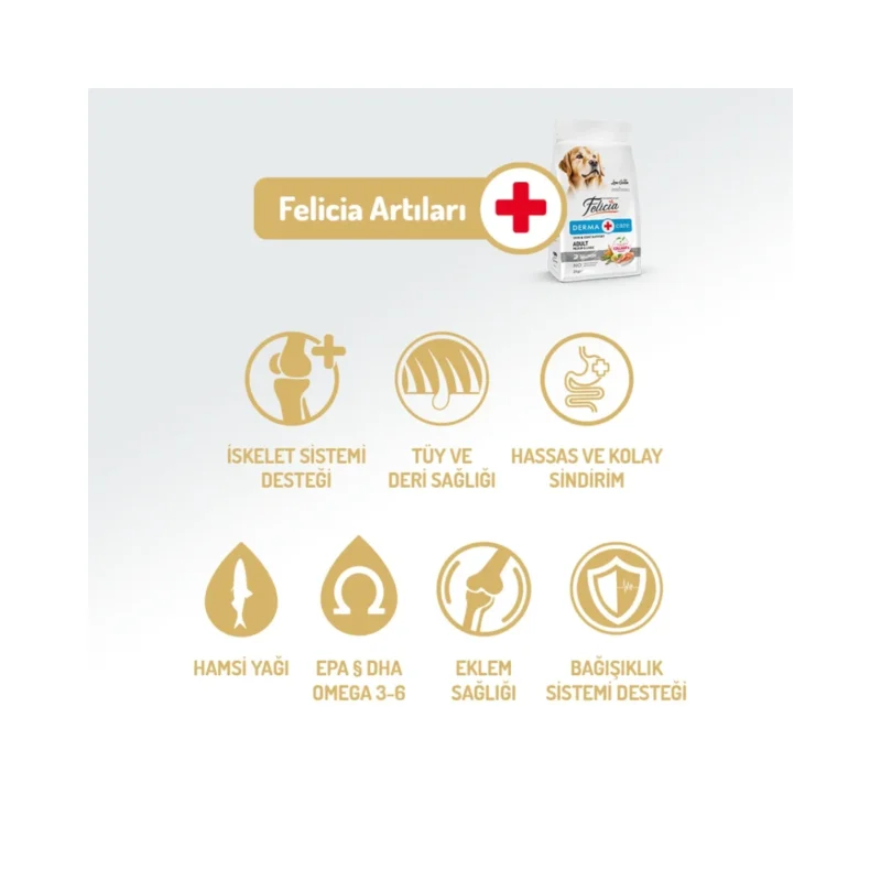 Felicia Derma Care somonlu köpek maması ile sağlıklı deri ve parlak tüy için ideal beslenme çözümü