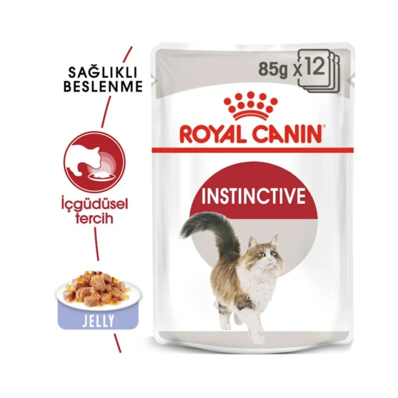 Royal Canin Instinctive Jelly 85g kedi yaş mama jeliyle kaplanmış lezzetli lokmaların yakın görünümü