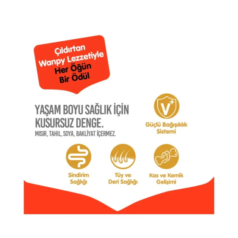 Wanpy yavru köpek maması 12 kg büyük boy ekonomik paket, sağlıklı gelişim için zengin besin içeriği