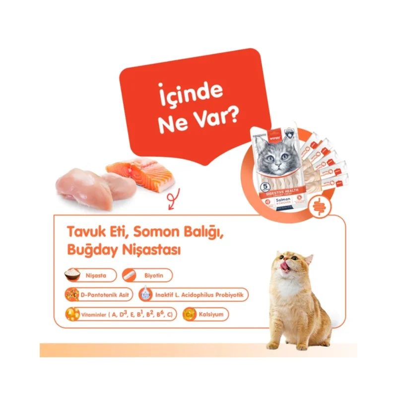 Wanpy Digestive Health somon ve tavuk kremalı kedi ödülü, sindirim sağlığını destekleyen 5x14g paket