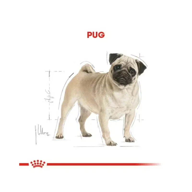 Royal Canin Pug Yetişkin Köpek Maması 1,5 kg