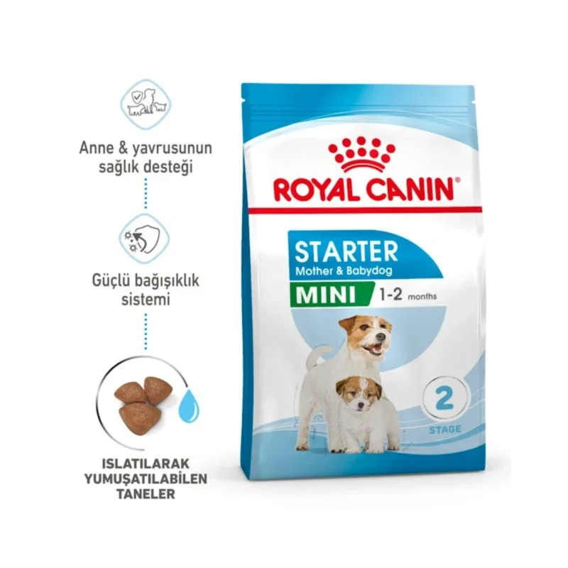 Royal Canin Mini Starter Anne ve Yavru Köpek Maması 4 kg