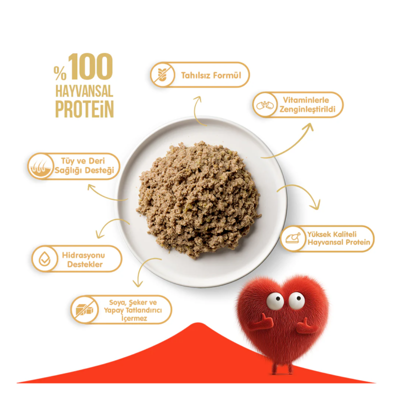 Wanpy Tahılsız Ton Balıklı Kedi Konserve 375 g – %100 Gerçek Et