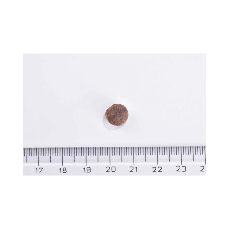 Brit Care böcek proteinli tahılsız kedi maması ambalajı yan görünüm, 2 kg paket detayı