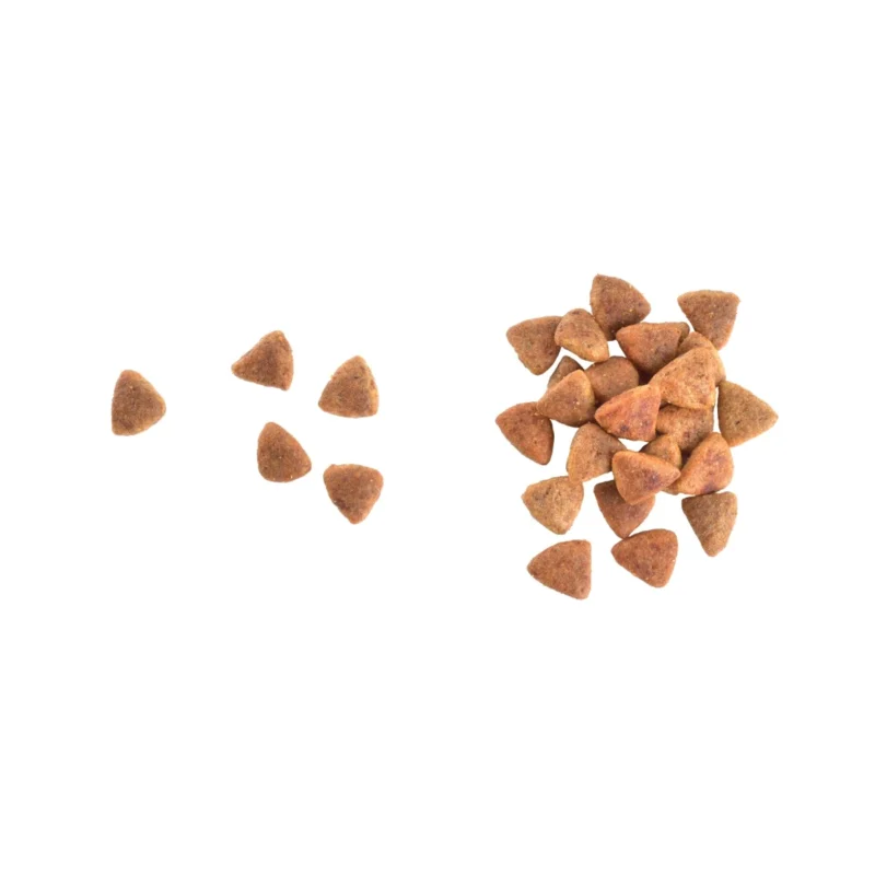 Brit Care Haircare Healthy & Shiny Coat kedi maması ile sağlıklı ve parlak tüyler için besin desteği