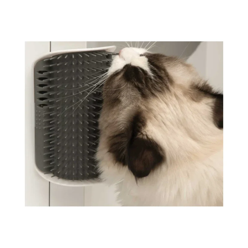 CatIt Self Groomer ile kediler kendiliğinden tımar edilir, sağlıklı ve mutlu kalır.