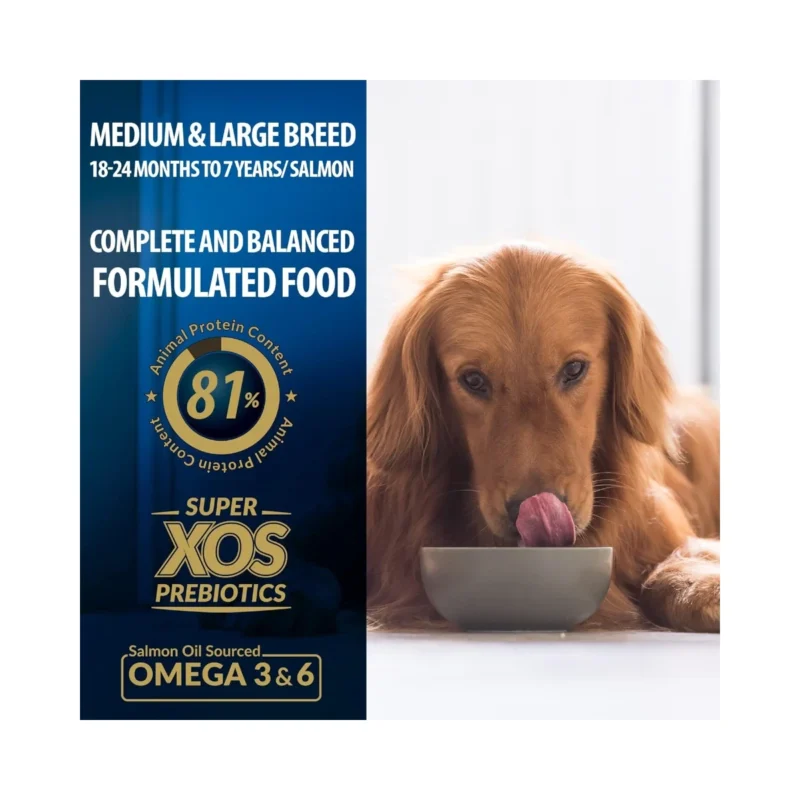 Reflex Plus Somonlu Köpek Maması 3 kg – Orta ve büyük ırk yetişkin köpekler için besin değerleri