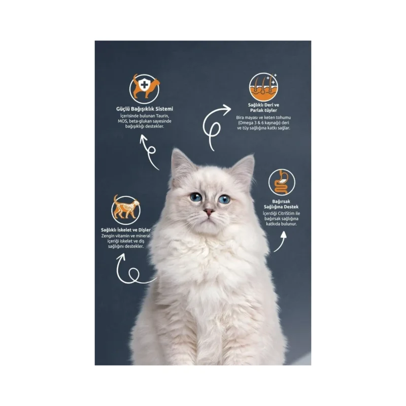 Reflex Tavuklu Yetişkin Kedi Maması 2 kg ambalaj arka yüzü ve besin değerleri tablosu