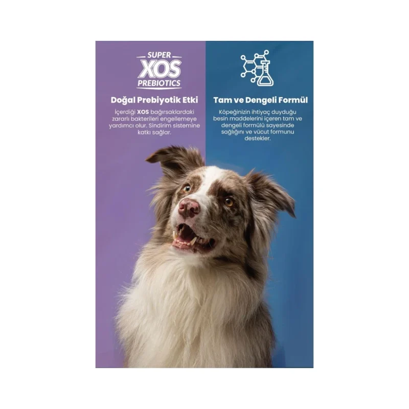 Reflex Plus Somonlu Mini Köpek Maması 8 kg ambalaj arka yüzü ve besin değerleri tablosu