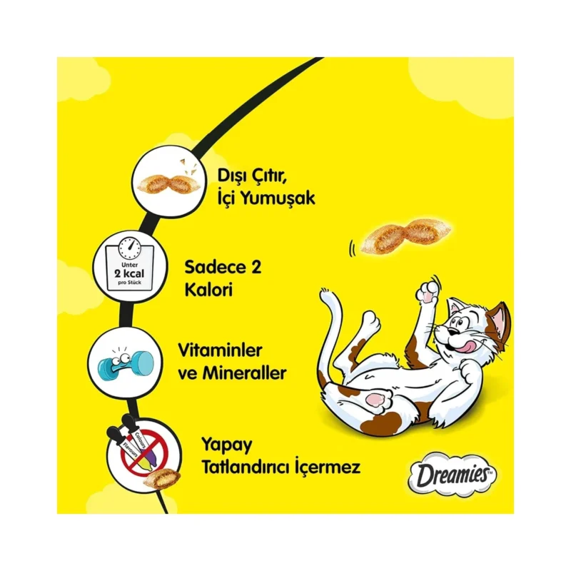 Dreamies somonlu peynirli kedi ödül maması paketi yakın çekim, 60 g lezzetli atıştırmalık