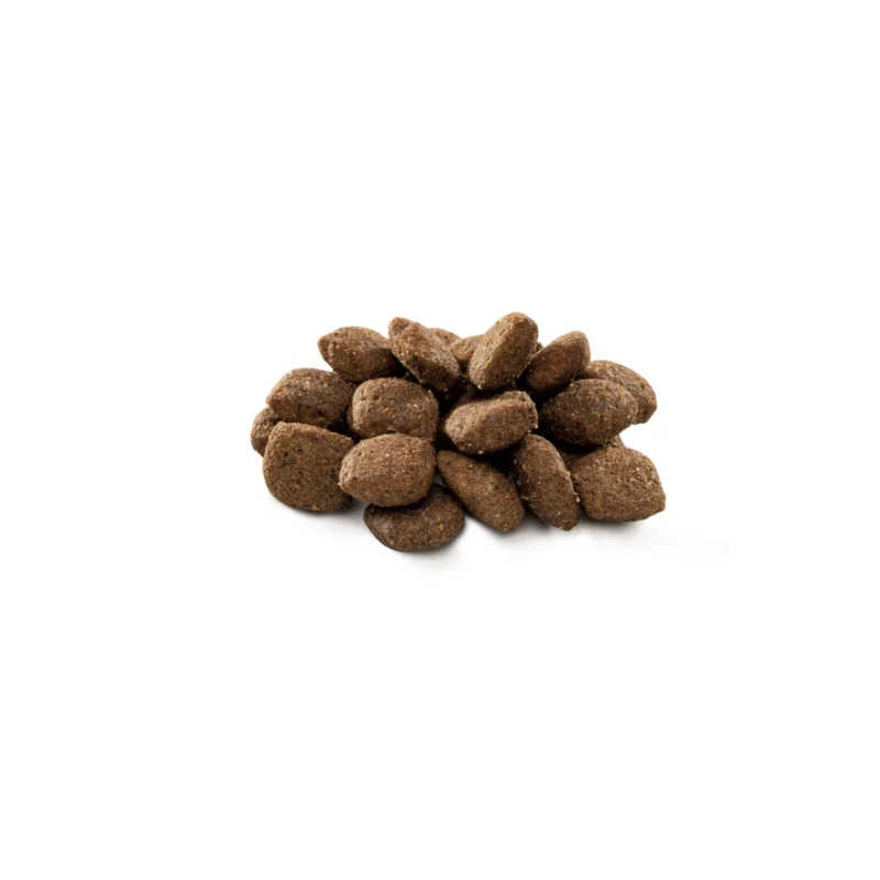 Brit Premium By Nature Sensitive Kuzu Etli Pirinçli Köpek Maması 15 Kg hassas sindirim desteği