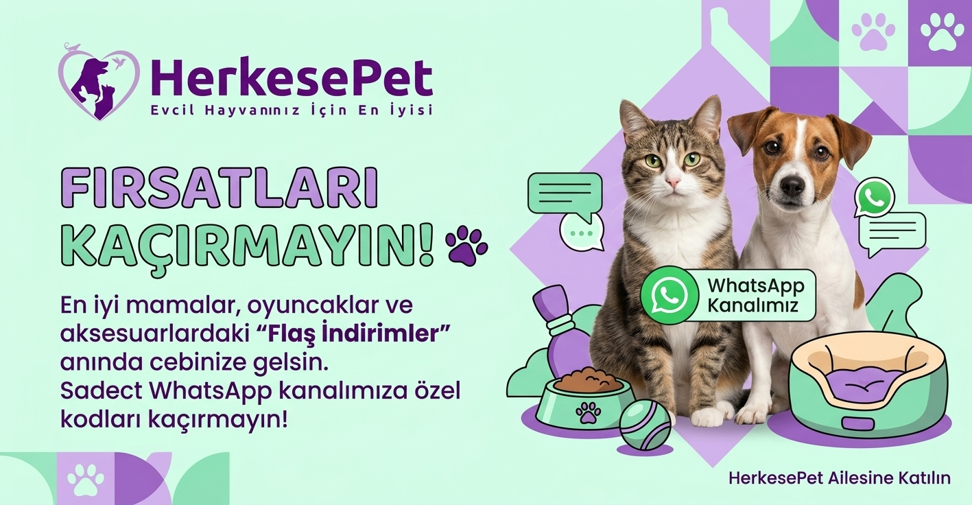Bestpet Sos İçinde Et Parçacıklı Somonlu Yetişkin Köpek Maması 400 g