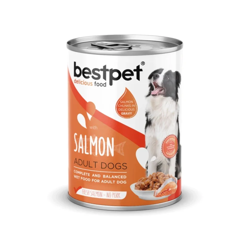 Bestpet somonlu yetişkin köpek maması, sos içinde et parçacıklı 400 g yaş mama paketi