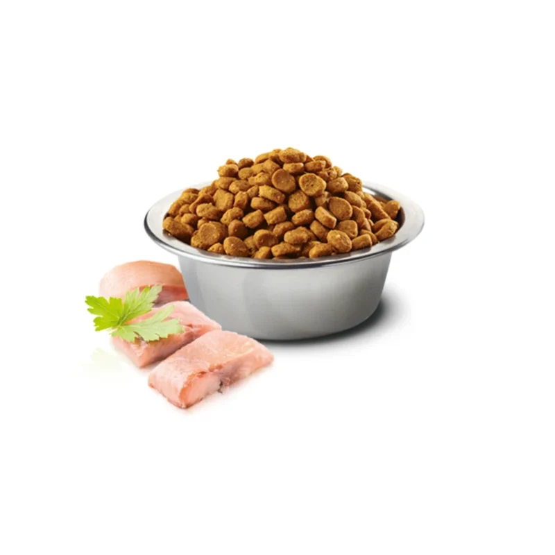 N&D Ocean Mini Yetişkin Köpek Maması - Ringa Balığı ve Portakallı Tahılsız Formül 2,5 Kg