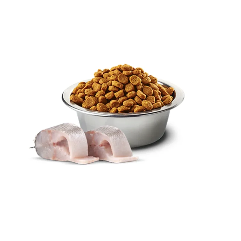 N&D White Mini Yetişkin Köpek Levrek Spirulina Rezene 2 Kg tahılsız köpek maması