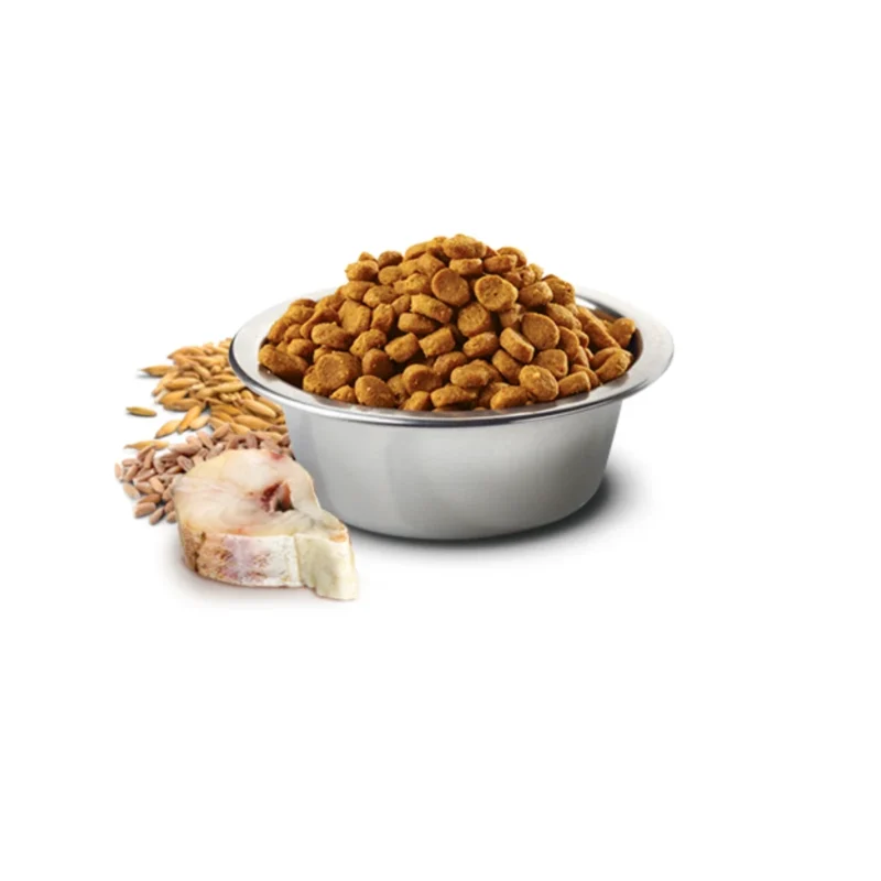 N&D Ocean Yetişkin Kedi Morina Balıklı Mama 1,5 Kg - Tahıllı Naturel Formül