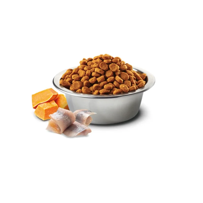 N&D Ocean Yetişkin Kedi Ringa Balığı Balkabağı Portakal 1,5 Kg tahılsız kedi maması ambalaj görseli