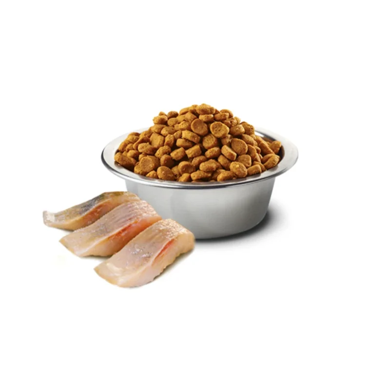 N&D Ocean kısırlaştırılmış kedi maması ringa balığı ve portakal içerikli 1,5 kg ambalaj görseli