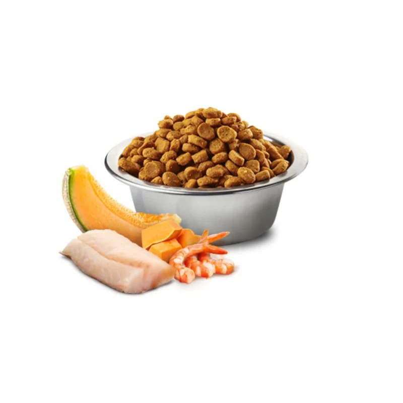 N&D Ocean Yavru Kedi Morina, Karides, Kabak ve Kavun Tahılsız Mama 1,5 Kg ambalaj görseli