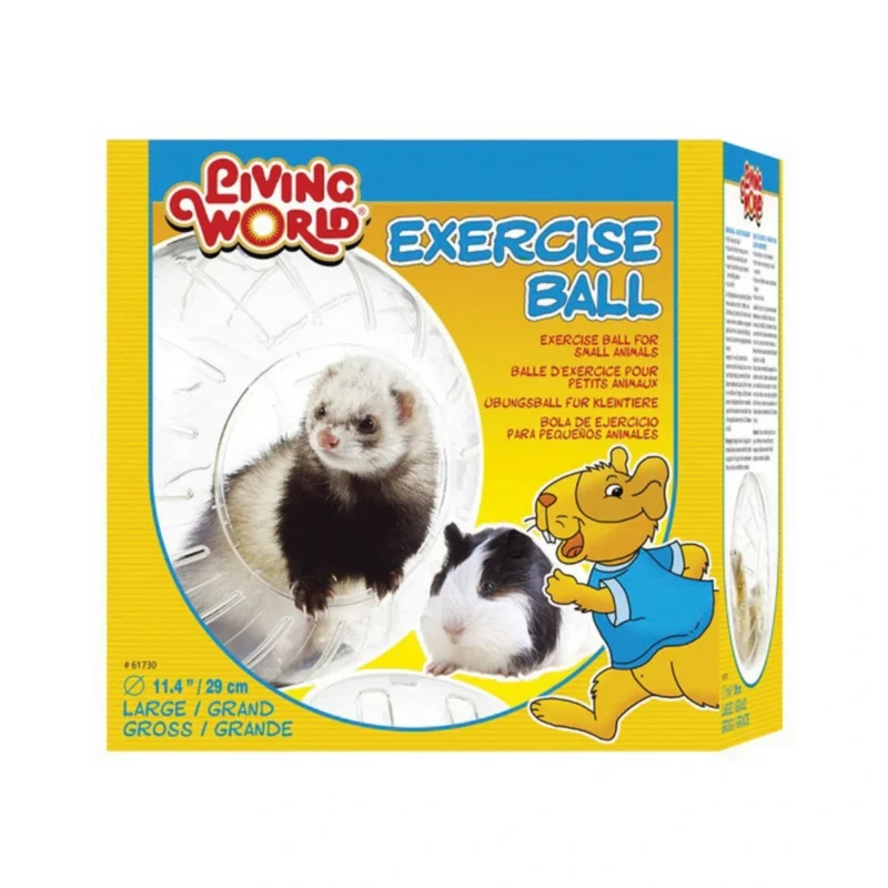 Şeffaf hamster topu, küçük kemirgenler için eğlenceli ve güvenli egzersiz topu